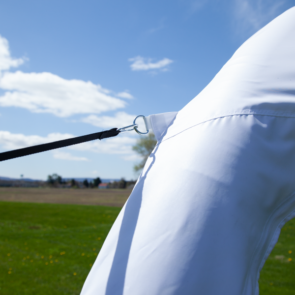 Canopy stakes down utilizing 4 D-rings D-ring attaches stakes to canopy