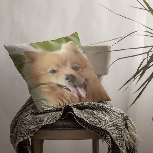 Custom Pillow Custom Pillow