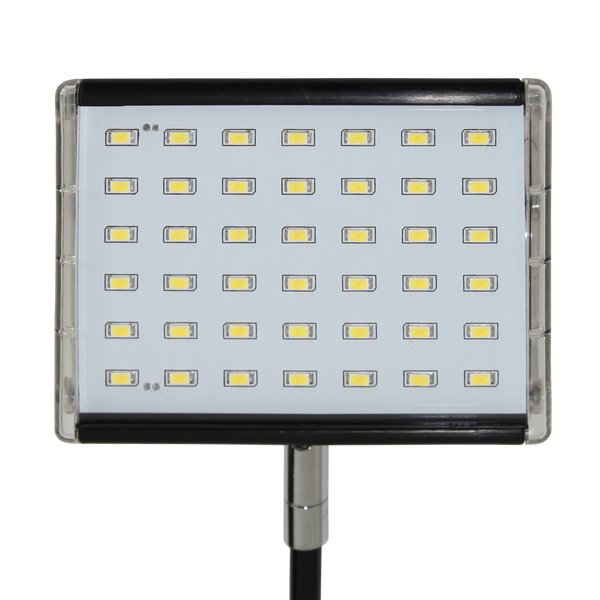 LED lights are energy-efficient and last longer