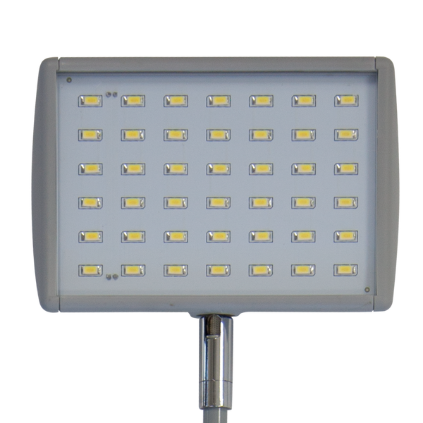 LED lights are energy efficient and last longer