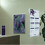 Both Window Banner Set models can display custom prints in square, portrait, or landscape formats Both Window Banner Set models can display custom prints in square, portrait, or landscape formats