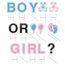 Boy or Girl yard cards with their stakes