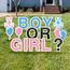 Boy or Girl baby reveal yard cards Gender Reveal Yard Card