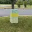 Disposable Trash Cans